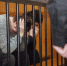 В Кирове осудили группу наркоманов - Newsler.Ru