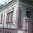 На территории Городского клуба ветеранов появятся орешники - Администрация Кирова
