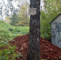 /// - Davecha.Ru