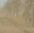 /// - Davecha.Ru