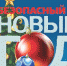 Безопасность в Новый год - Служба специальных объектов