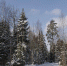/// - Davecha.Ru
