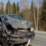 Водитель на минивэне сбил лося: 3 человека получили травмы - Auto43.Ru