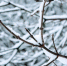 /// - Davecha.Ru