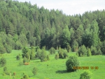 Фото Сарапульского Района