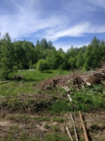 Куменский Район Фото