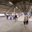 В Кирове выявили лучших скейтеров - Kirov.Online