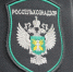 Из Кировской области в Китай отправлено 158 тыс. кубометров лесопродукции - Кировская правда