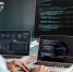 Какие IT-профессии наиболее востребованы в Кировской области - Newsler.Ru