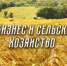 Обучающий проекта по развитию действующего бизнеса в сфере сельского хозяйства - Центр Мой бизнес