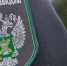 В Кировскую область тоннами завозят солод, жмых и шрот - Кировская правда
