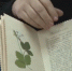 Жители Слободского представили коллекцию рукописных книг - Кировская правда