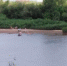 Три кировчанина не смогли выбраться из воды живыми за последние сутки - Город Киров