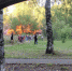 В пригороде Кирова сгорели сараи, в которых жили собаки - ProGorod.Ru