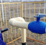 Кировские газовики перешли на повышенный режим работы в период половодья - ProGorod.Ru