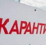 В Кировской области объявлен карантин по лейкозу крупного рогатого скота - ГТРК Вятка