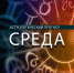 Тельцы станут опасными, а Близнецам бросят вызов - Newsler.Ru