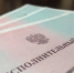 Кировчанка в момент нашла полмиллиона, чтобы выехать за границу - Kirov.Online