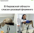 Сохраним природу вместе. Расскажем о последних новостях в мире экологии - Вятский край