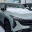 В России представят «младшего брата» Geely Atlas - Auto43.Ru