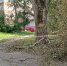 Глава администрации Кирово-Чепецка выступила с обращением к горожанам - Kirov.Online