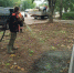В Кирове появится 39 новых остановок 1 - Кировская правда
