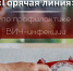 По вопросам профилактики ВИЧ-инфекции организуют Всероссийскую «горячую линию» - ГТРК Вятка