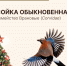 Сойка обыкновенная - Заповедник Нургуш
