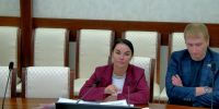 Депутаты кировского Заксобрания не одобрили идею запрета пропаганды одиночества - ProGorod.Ru