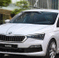 Skoda и Volkswagen отзывают свои авто в России - Newsler.Ru