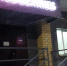 "Полная отмена доставки": Wildberries и Ozon приняли новое решение для всех россиян - ProGorod.Ru
