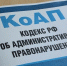В Кировской области от безответственности хозяев домашних животных пострадали другие собаки - ГТРК Вятка