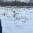 Фейковый Вячеслав Симаков продолжает разводить кировчан в мессенджерах - ProGorod.Ru