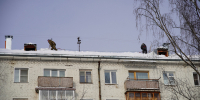 В Кировской области из-за плохой уборки снега внесли 187 представлений - Свойкировский.рф