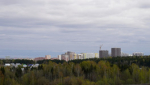 В 2024 году в Кировскую область приехали более 36 тысяч человек