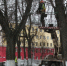 Зеленые насаждения в центре Кирова станут еще зеленее - ProGorod.Ru