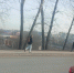 На мосту по улице Московской в Кирове установят защитные экраны - Bnkirov.Ru