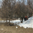 В Кирове стартуют общегородские субботники - ГТРК Вятка