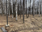 Кировская область будет участвовать во Всероссийском субботнике
