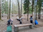 В Кирове больше 500 человек приняли участие в городских субботниках