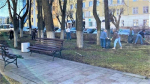 Кировчане подключатся к Всероссийскому субботнику