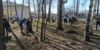 Всероссийский субботник состоится в Кирове 26 апреля - ProGorod.Ru