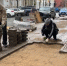 В Кирове завершается ремонт брусчатки на улице Московской - ГТРК Вятка