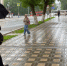 Не ждите тепла и жары: июнь принесет резкое похолодание и дожди - ProGorod.Ru