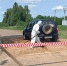 В Фаленском районе провели учения по борьбе с африканской чумой свиней - Свойкировский.рф