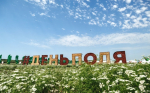 Кировская область приняла участие во Всероссийском Дне поля