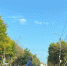 В Кировской области в каждом седьмом ДТП пострадали дети - ProGorod.Ru