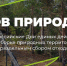 Жителям Кировской области предлагают приз за субботник на природе - Кировская правда