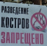 В лесaх Кировской области введён особый противопожарный режим - МЧС