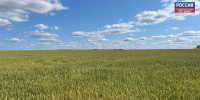 В Кировской области в субботу прогнозируют до  31 °C и без осадков - ГТРК Вятка